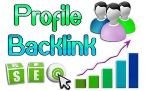 Dịch vụ backlink profile 247