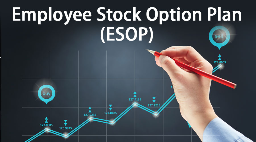 ESOP là gì? Những điều cơ bản về cổ phiếu ESOP doanh nghiệp cần biết - # Dịch vụ tạo Google Entity Stacking chuẩn nhất